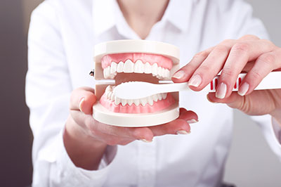 An individual holding a dental model with an open mouth displaying teeth, positioned in front of a blurred background