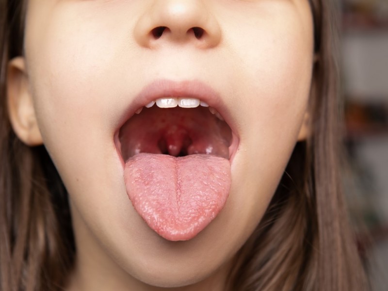 Take A Tour of Your Mouth